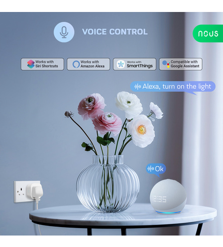 Smart Wifi Socket NOUS A10 (2pcs)