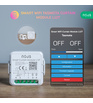 Nous L12T WiFi Smart Curtain Module with Tasmota