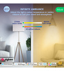 NOUS P4Z ZigBee Smart Bulb RGB E14 (3pcs)